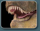 T_REX_2TlC
